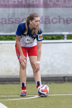 Bild 252 - wBJ Hamburger SV - FC Suederelbe : Ergebnis: 9:0